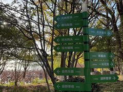 -金鸡湖桃花岛