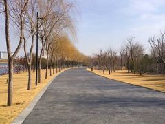 -象湖生态湿地公园