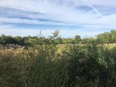 -永定河休闲森林公园