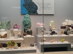 -湖南省地质博物馆