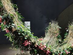 -东平国家森林公园