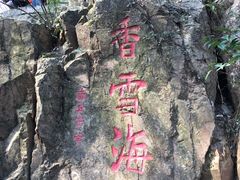 -香雪海