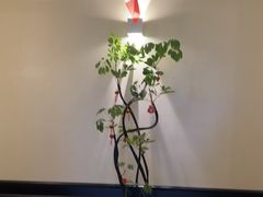 -涟LIAN·泰式按摩·MASSAGE·SPA(深业上城店)