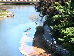 -广州市帽峰山景区