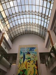 -上海交通大学医学院附属上海儿童医学中心(陆家嘴总院区)