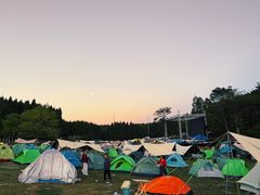 -武陵山森林公园