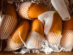 -茉酸奶(松江开元地中海店)