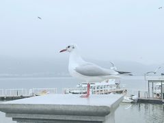 -海埂大坝