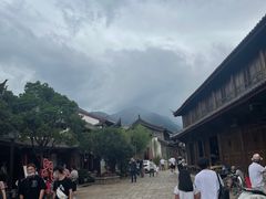 -蘑统田下·野生菌火锅