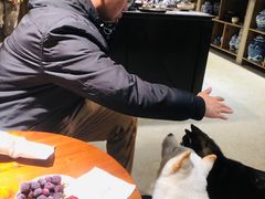 -自由生长植物工作室(深港花卉中心店)