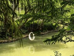 -东明山森林公园