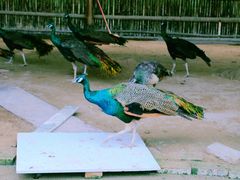 -韶关经律论国际酒店温泉