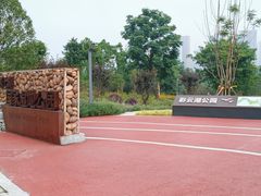 -重庆彩云湖湿地公园
