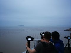-北岐滩涂