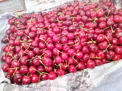 -西郊国际农产品交易中心