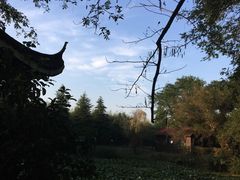 -金孔雀温泉旅游度假村