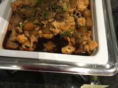 -虹桥机场国航贵宾室v8