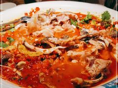 -坛宗剁椒鱼头(河西王府井店)