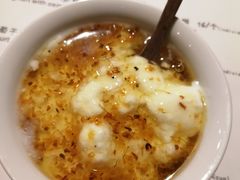 -古树酸奶(八廓南街店)