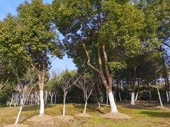 -滨湖塘西河公园