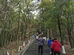 -分塔山省级森林公园