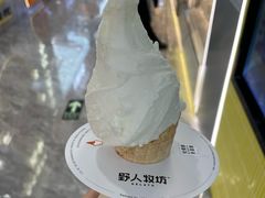 -野人先生现做冰淇淋(西安赛格店)
