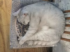 -不舍昼夜咖啡馆