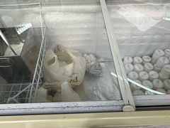 -洪馨椰子