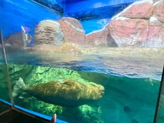 -海合安武汉极地海洋公园