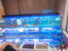 水产区-阿毛饭店(和义路店)