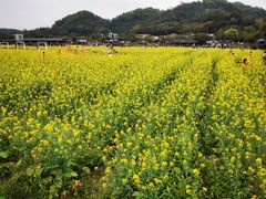 -红山村
