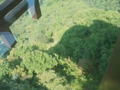 -少华山国家森林公园