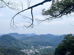 -十八棵（老龙井）御茶园(老龙井店)