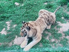 -西安秦岭野生动物园