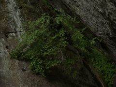 -武夷山风景名胜区-虎啸岩