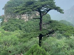 -圣莲山风景区