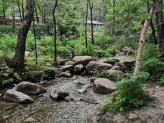 -玉渡山自然风景区