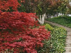 -幕燕滨江·燕子矶公园