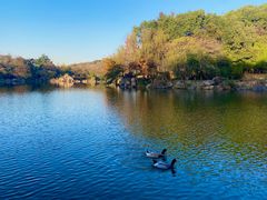 -白马涧龙池景区
