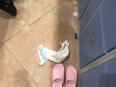 -青岛东方影都融创水世界