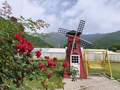 -宁波九龙湖开元度假村