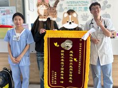 -谐和贝康宠物医院24小时·宠保定点(急重症转诊中心)