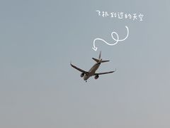 -空港花田景区