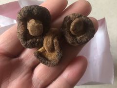 -小宝栗子(嘉华国际商业中心店)