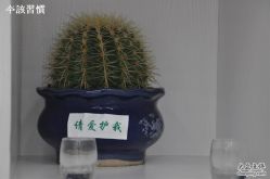 DSC_0164-和良形象