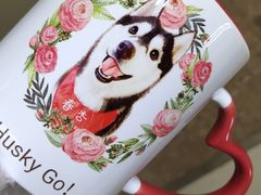 -Husky Go! 哈士奇体验馆·宠物咖啡厅狗咖