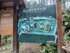 -中国科学院西双版纳热带植物园