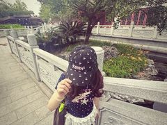 -顺峰山公园