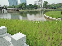 -西海子公园