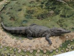 -石家庄市动物园